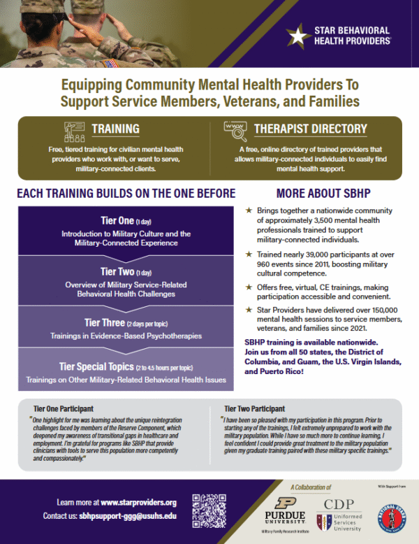 Preview of SBHP Overview Flyer English